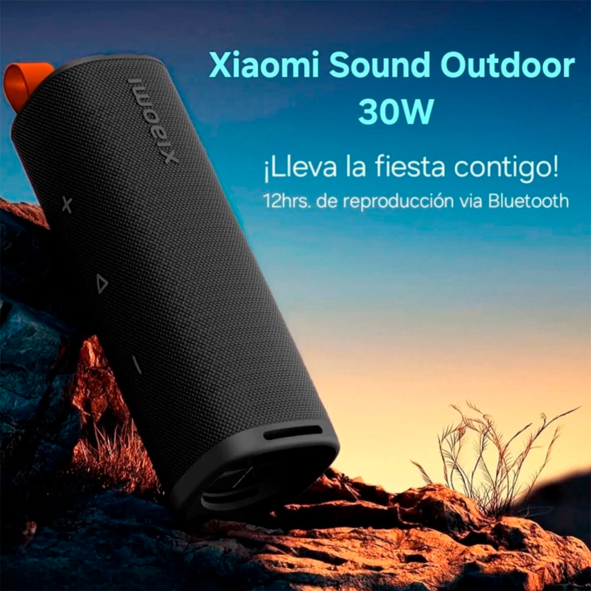 Parlante Xiaomi Sound Outdoor 30W
